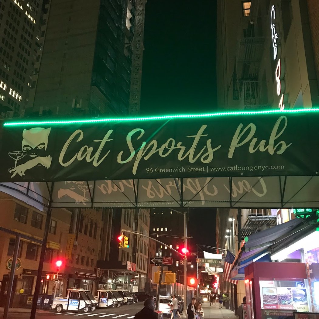 Cat Lounge NYC 2