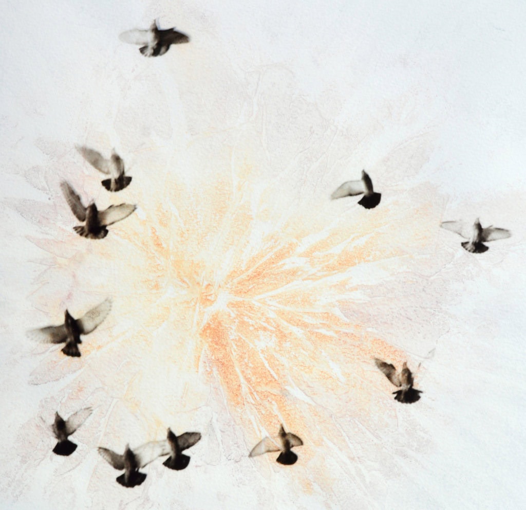 Spectacle de choeur théâtral : Et les oiseaux danseront les ailes brisées 1