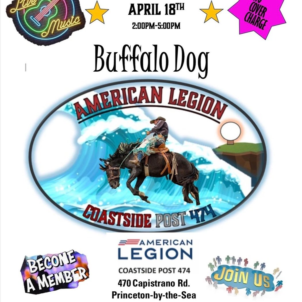 Saturday Afternoon- Buffalo Dog 1