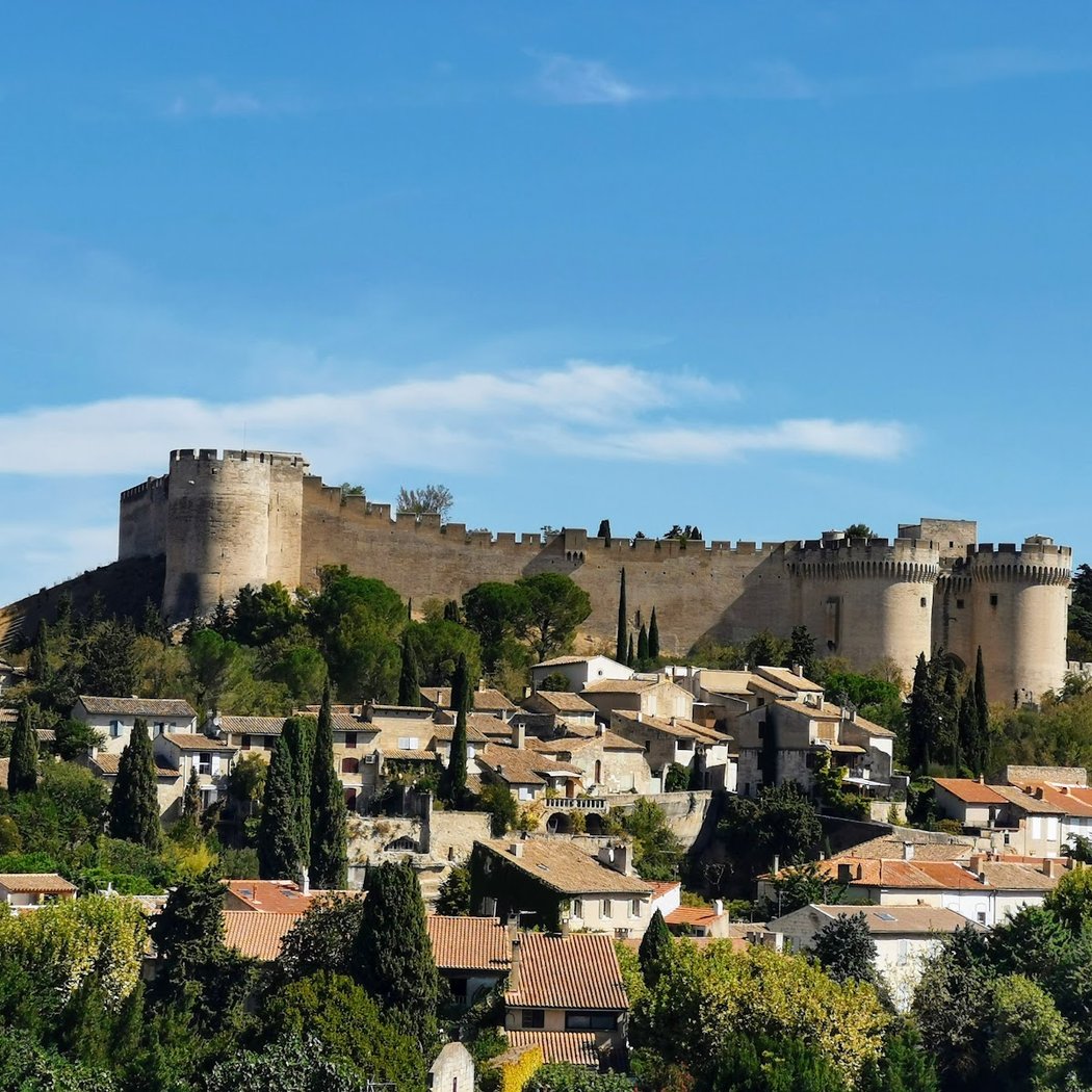 Fort Saint-André 3