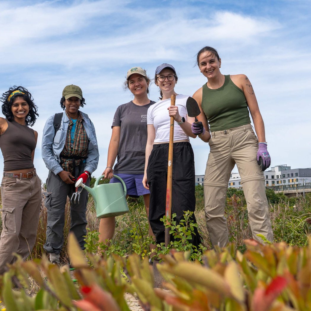 Climate Week NYC Dune Planting