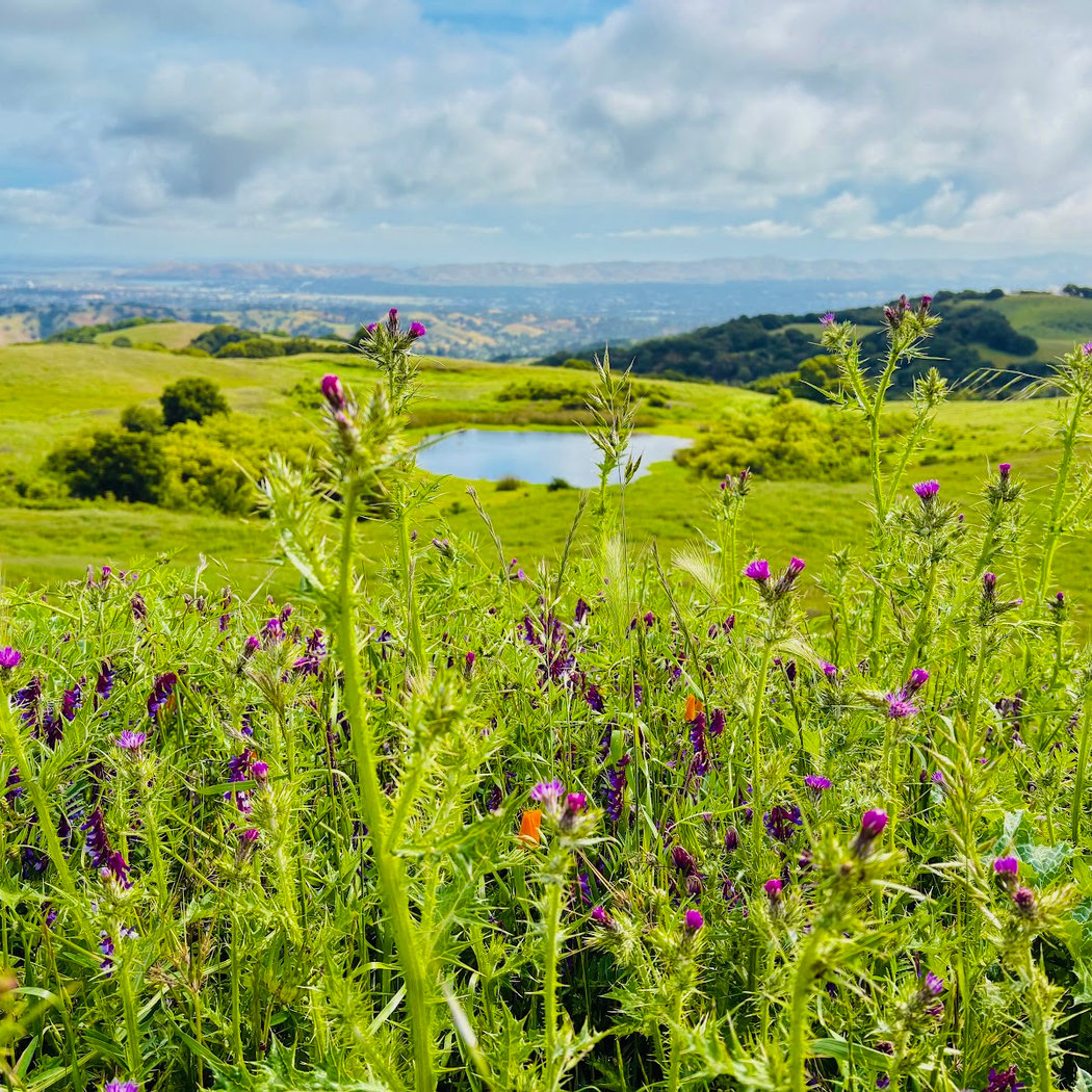 Old Briones Trailhead 1