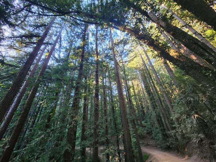 Joaquin Miller Park 1