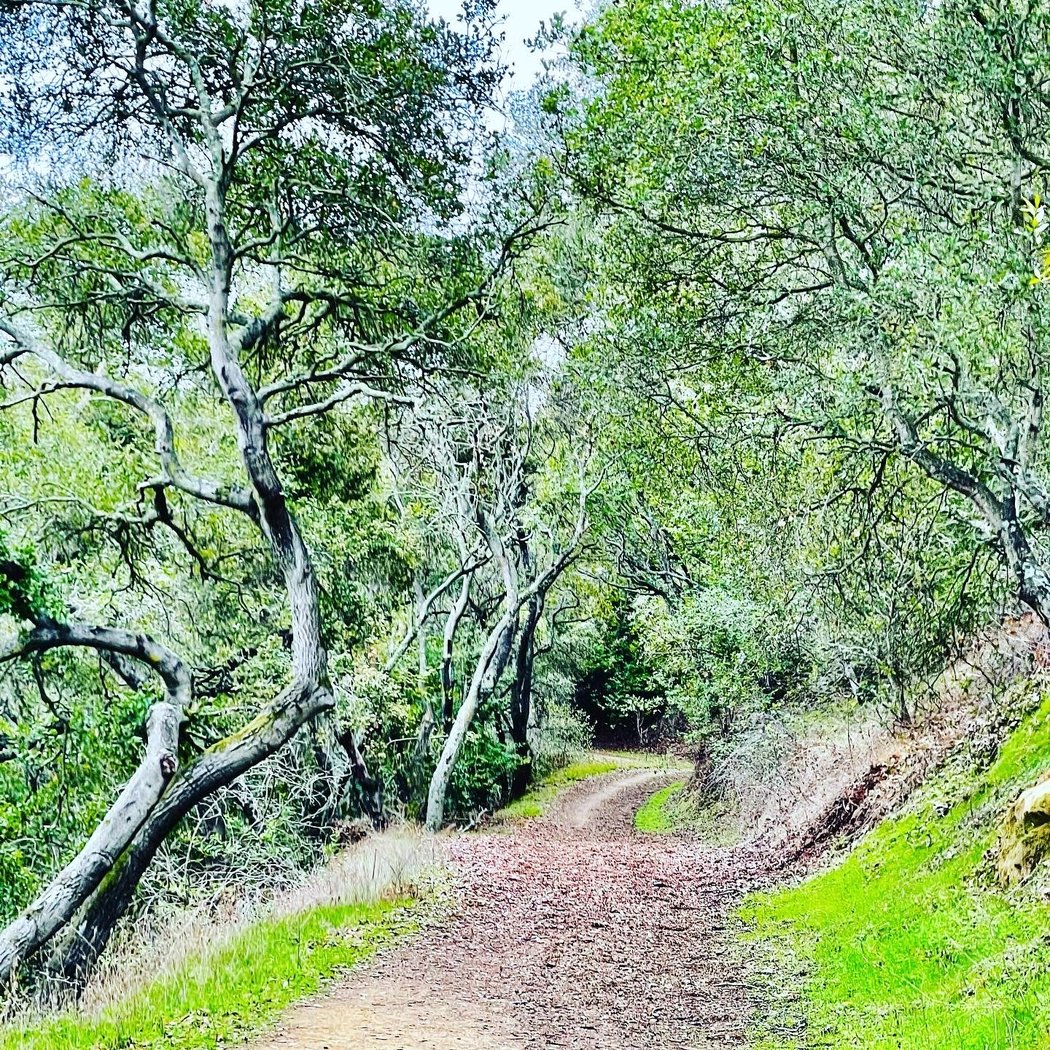 Five Canyons Park 1