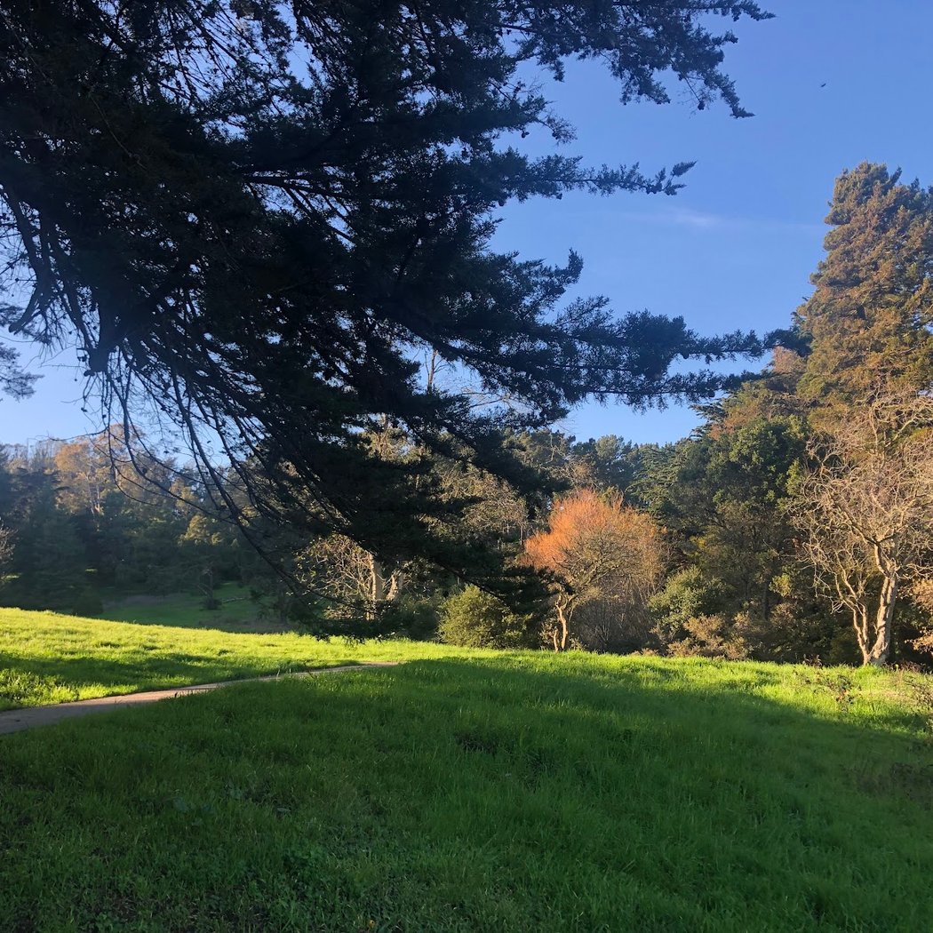 Yosemite Marsh and Spring 3