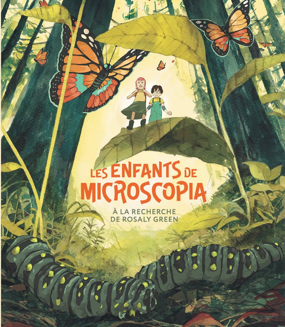 Librairie BD Le Chaudron 1
