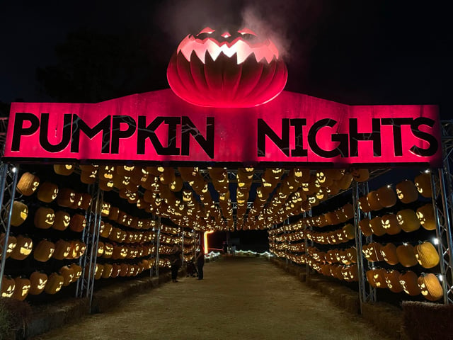 Pumpkin Nights 3