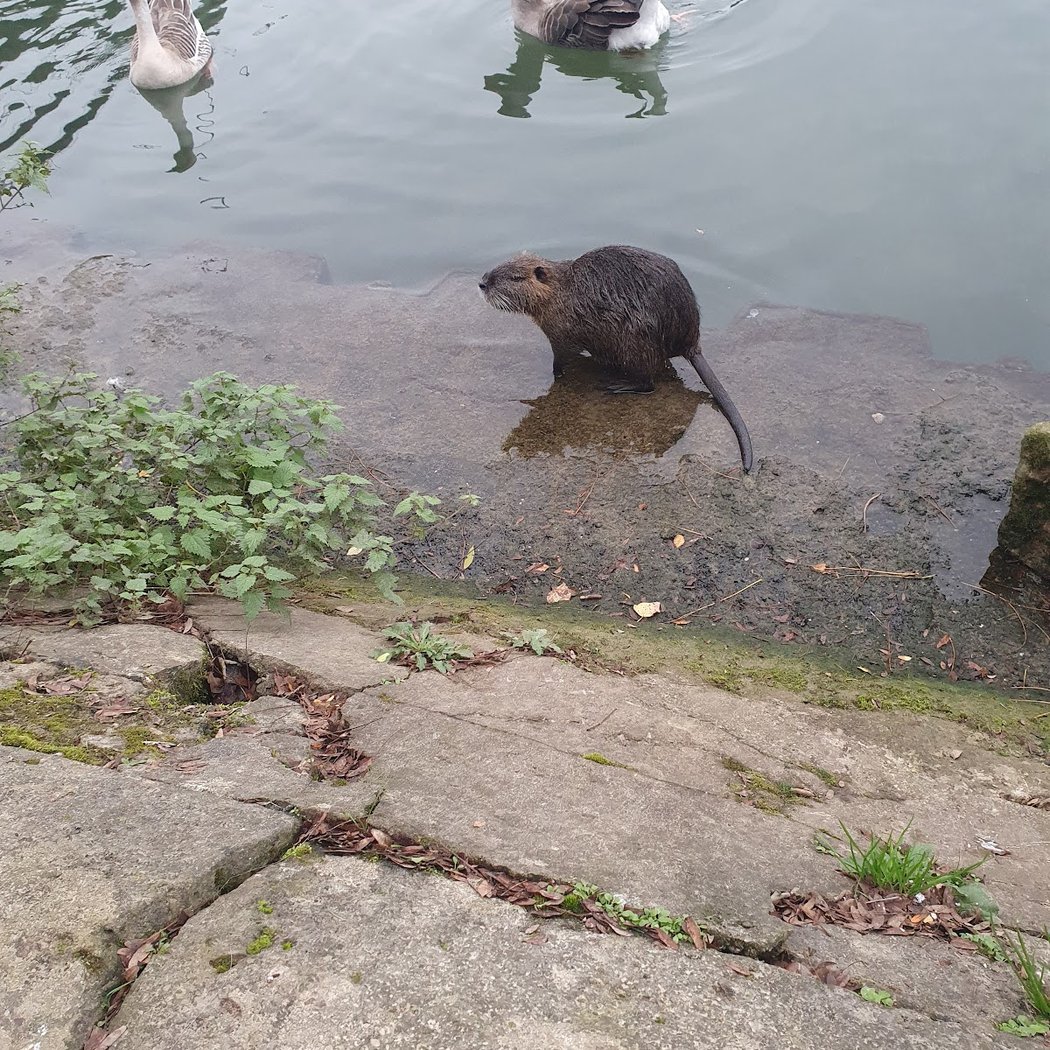 Bords de Marne 2