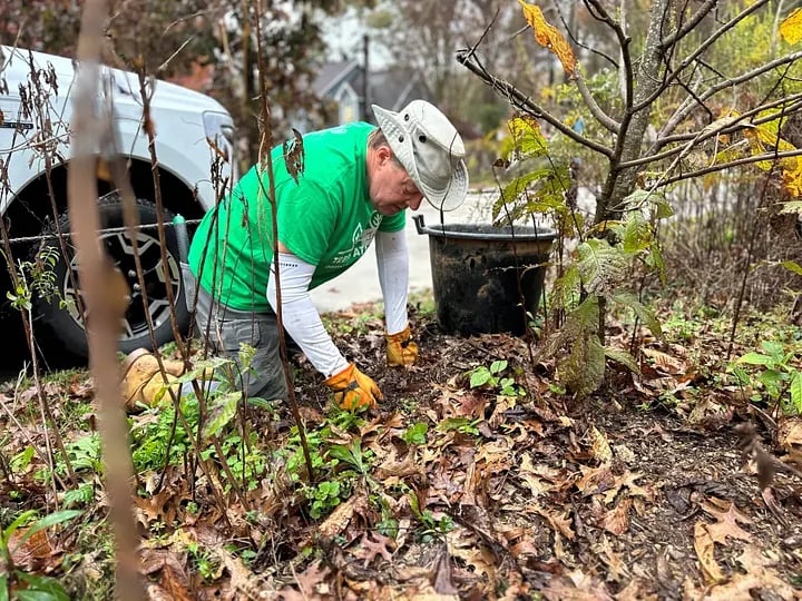 Plant Care in the BeltLine Arboretum Westside Trail 1