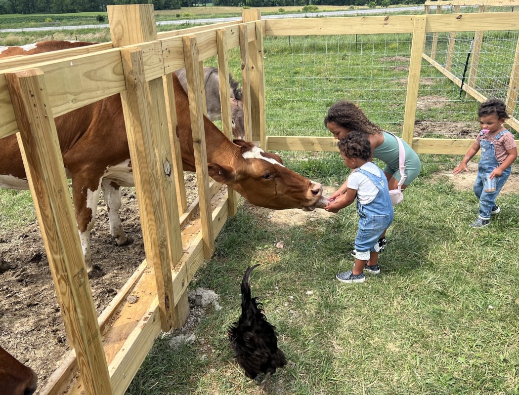 Cows & Coffee 1