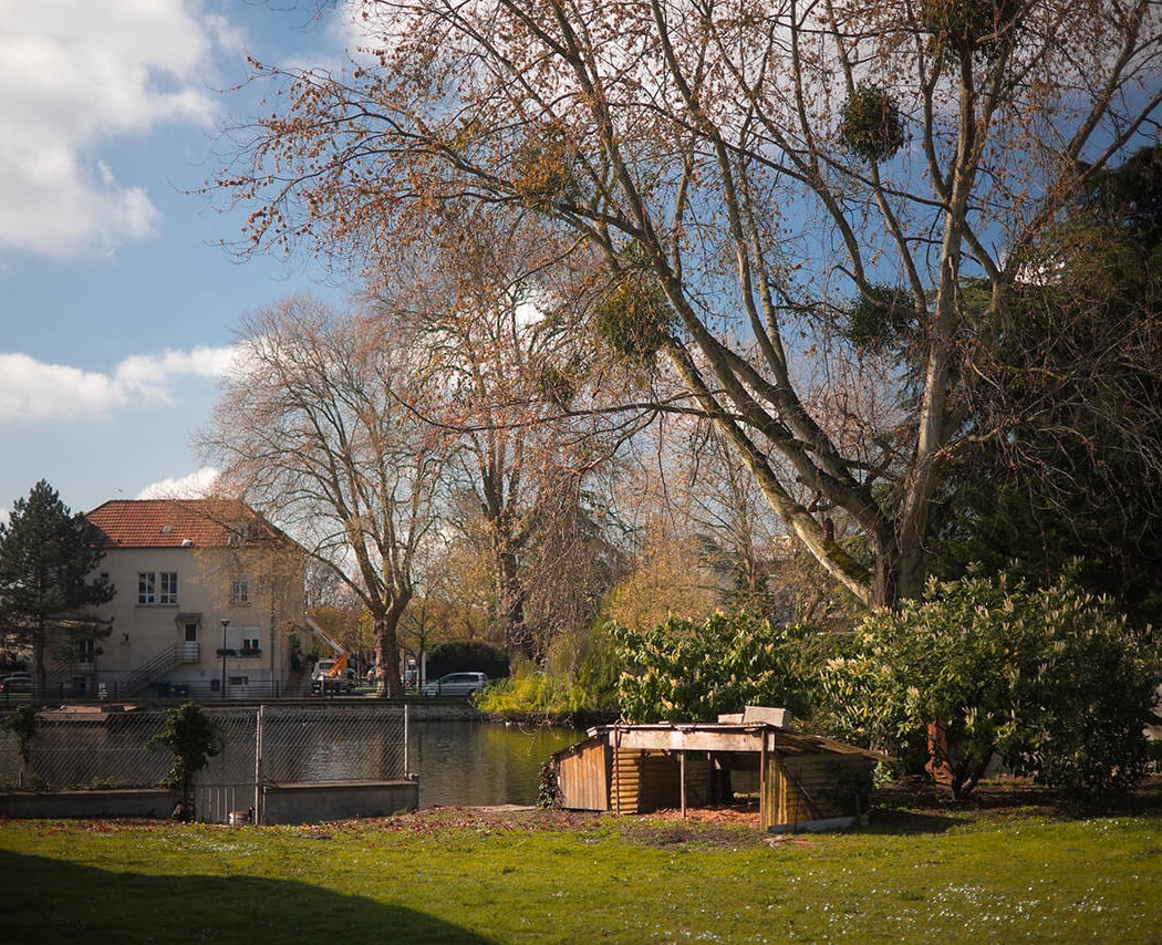 Bird Center Île-de-France 1