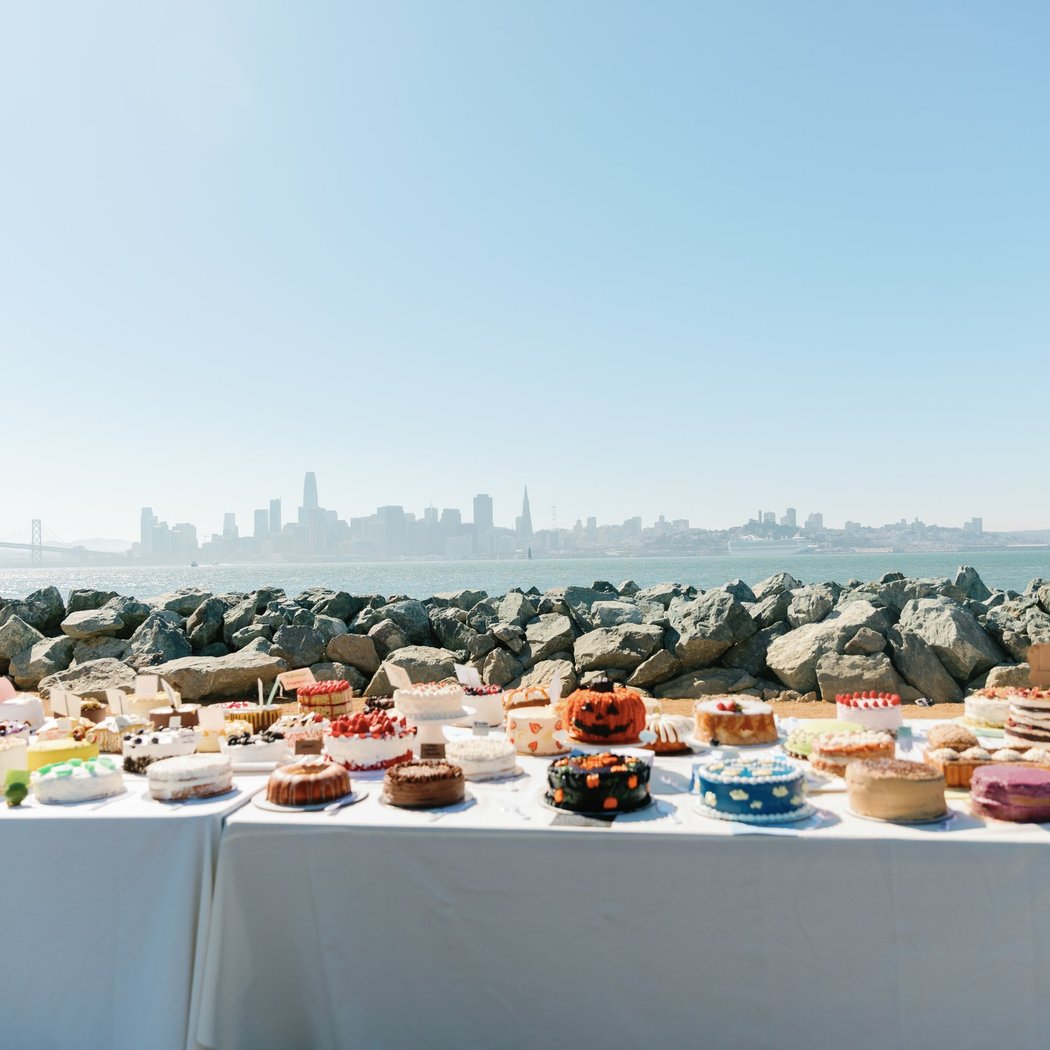 Cake Picnic 1