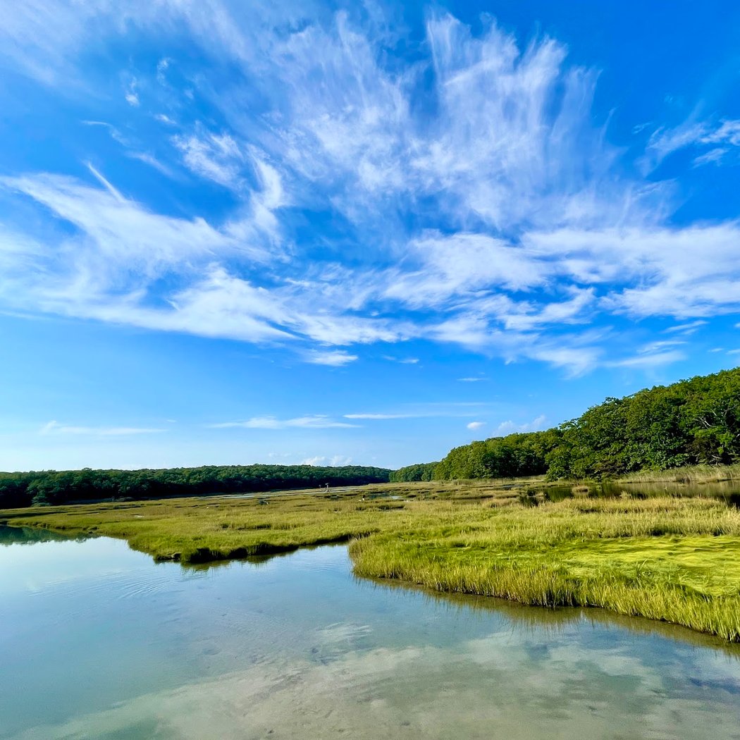 Rocky Neck State Park 3