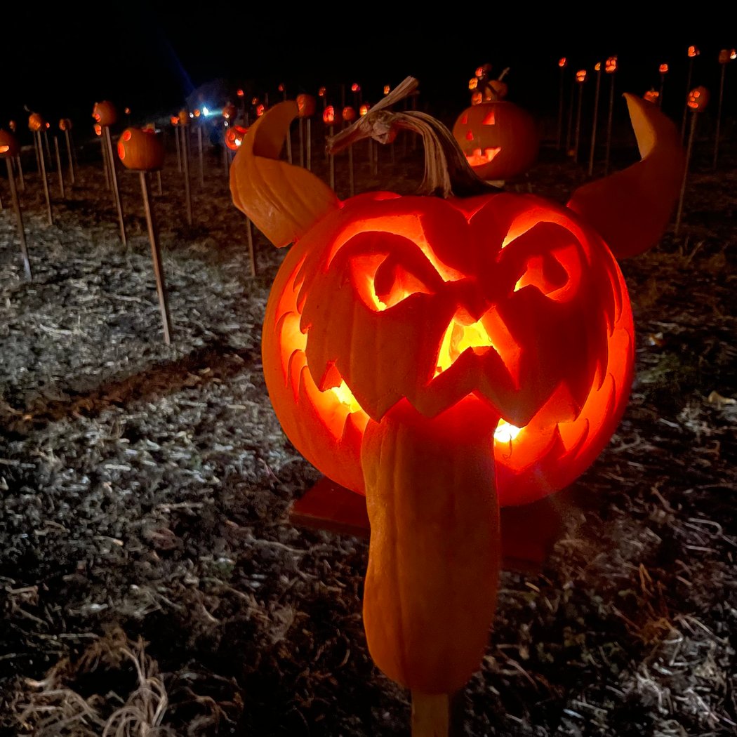 PUMPKINS ON PIKES 2024 1