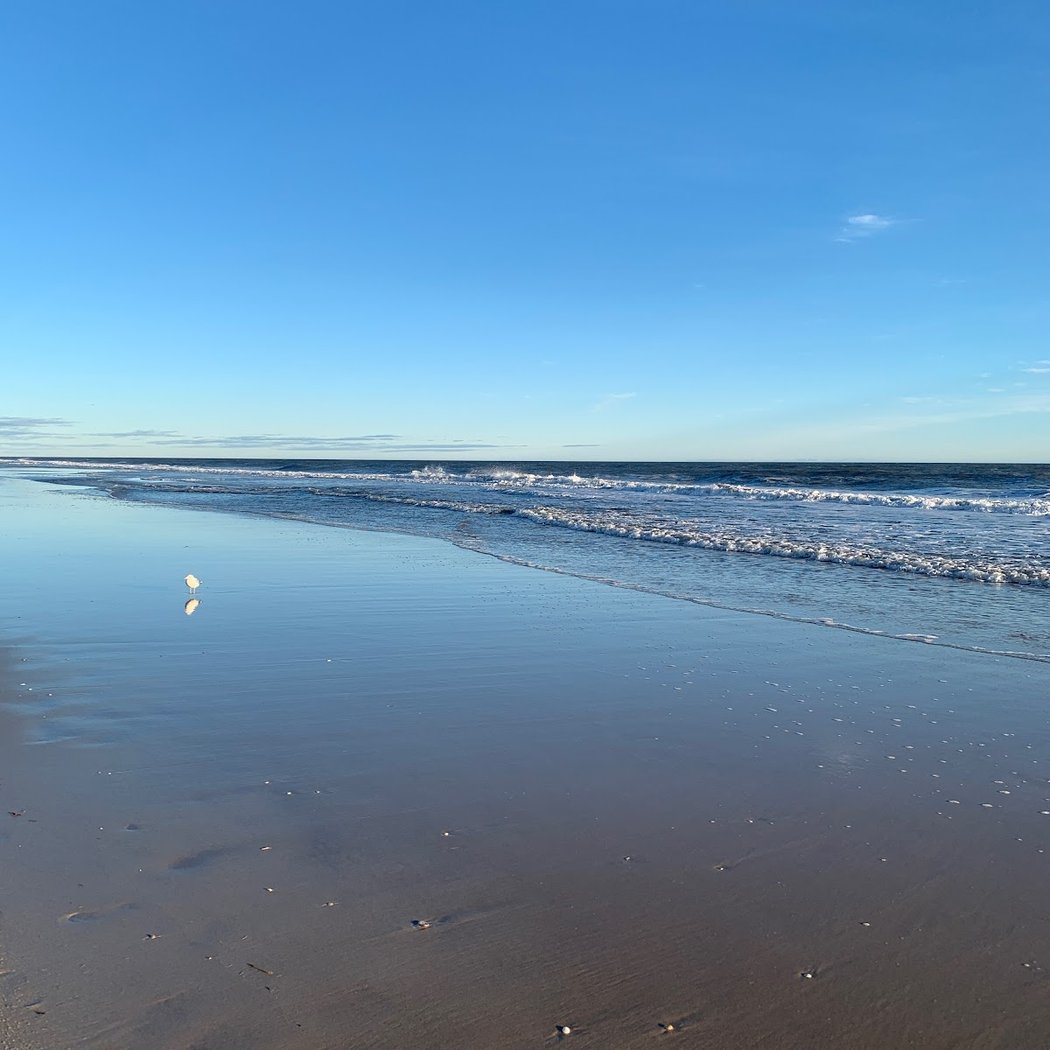 Robert Moses State Park - Long Island 1