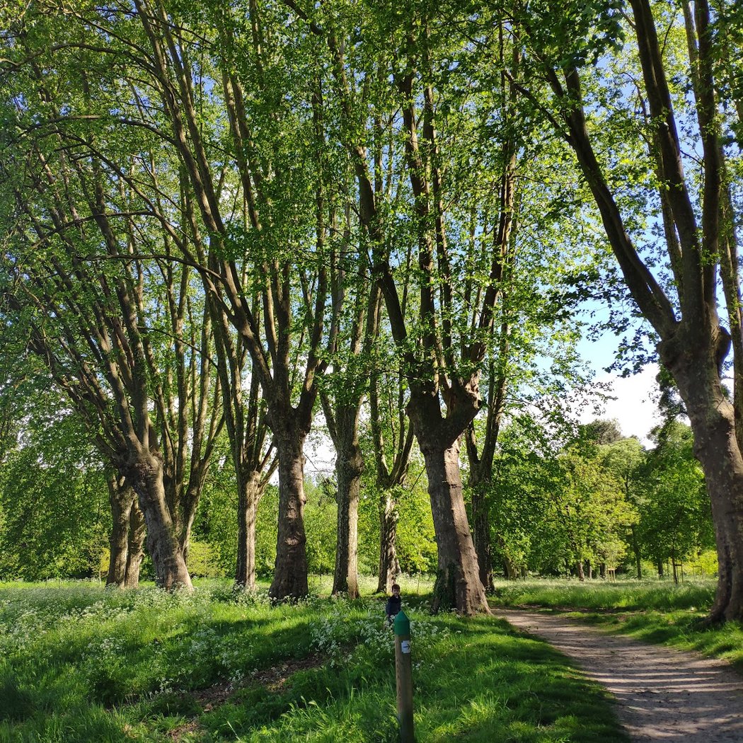 Le Green Paradize 2
