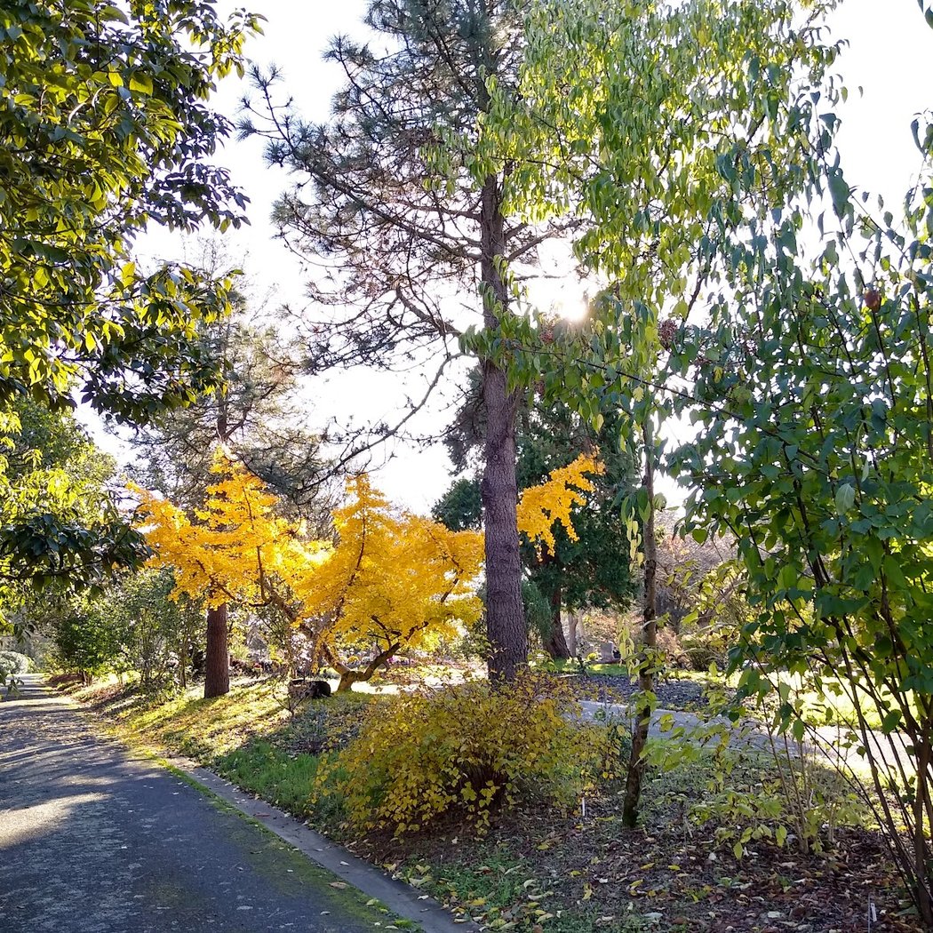 Cimetière Parc Paysager de Nantes 3