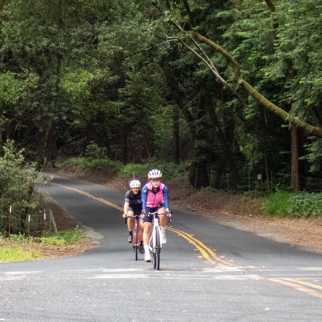 Wednesday Redwood Loop 1