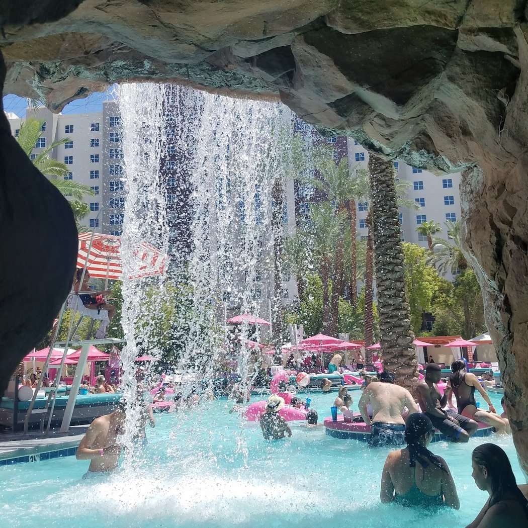 Flamingo Pool at Flamingo Las Vegas 3