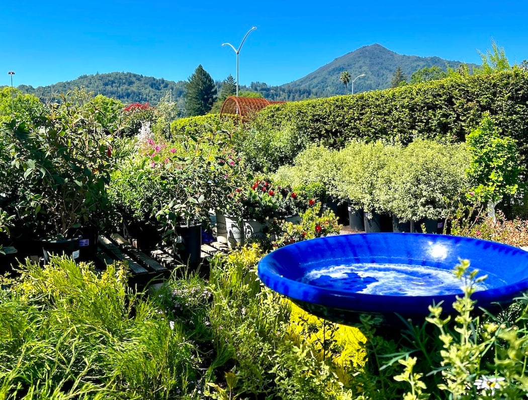 Sloat Garden Center 1