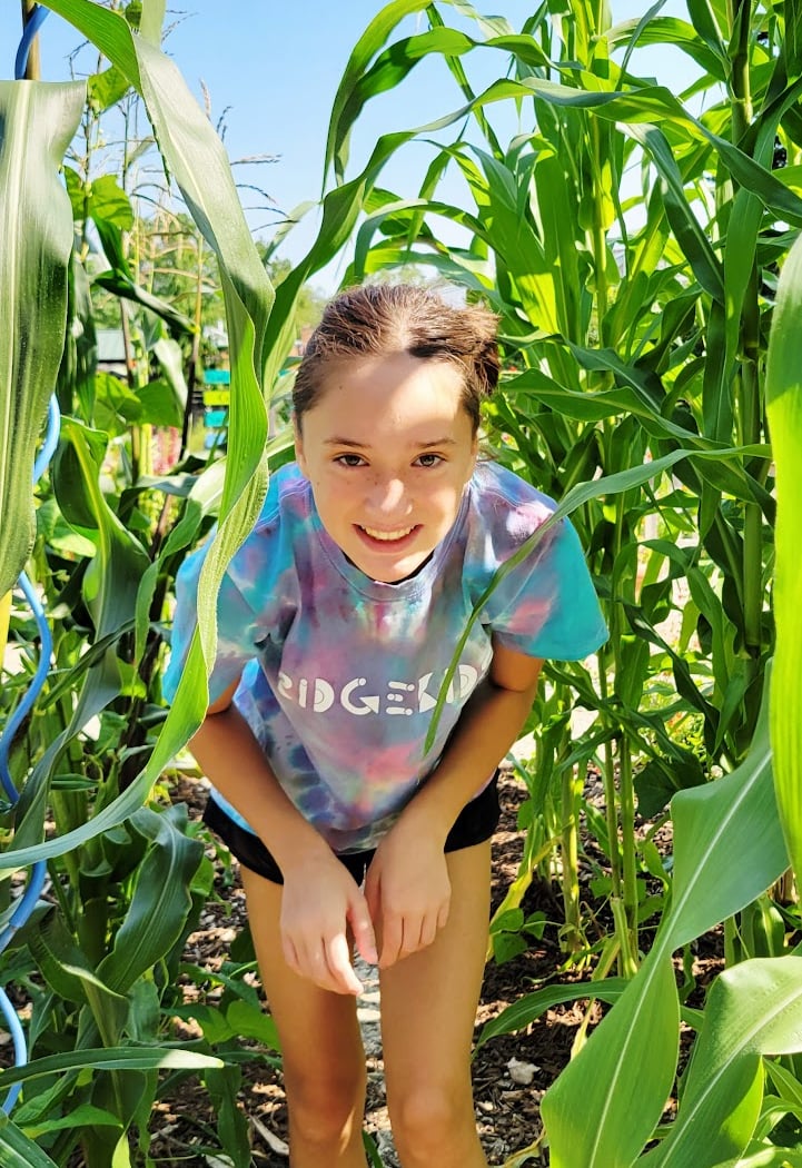 Nature Play Pop-Ups