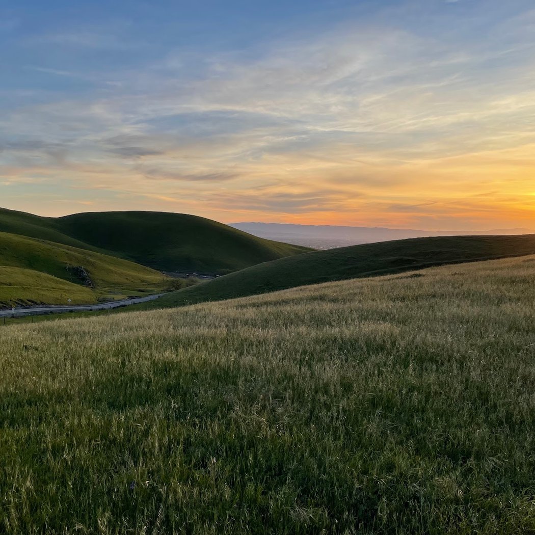 Patterson Pass 1