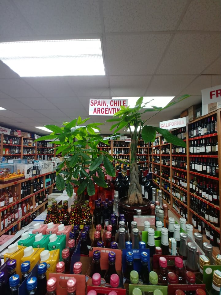 Forest Liquors House 3