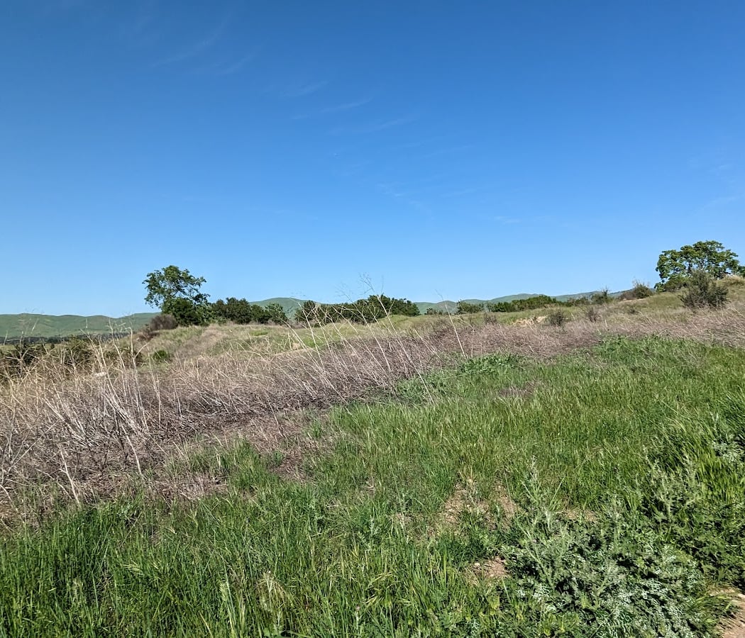 Ohlone Trail Parking (Lime Ridge) 2