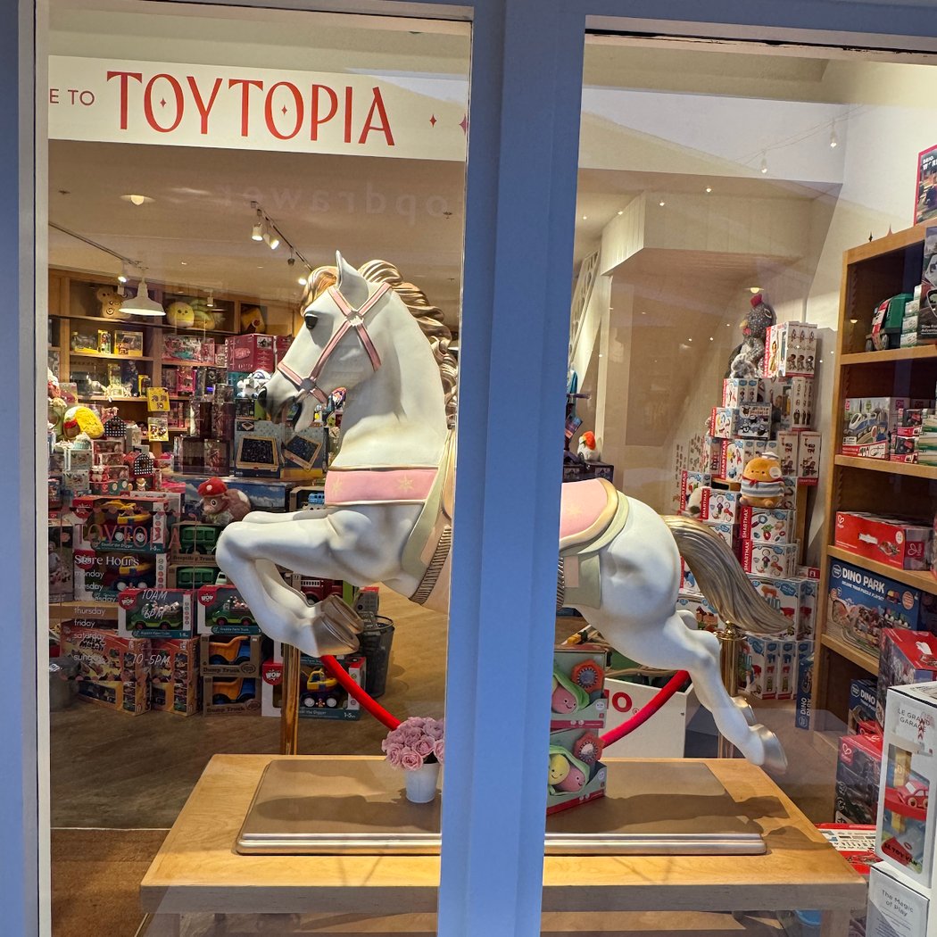 Toytopia of Marin 3