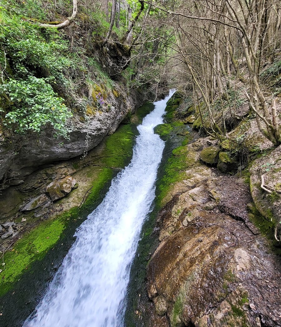 Bullidor de la Llet 2