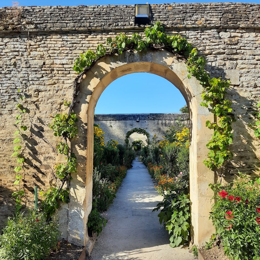 Château Canon 3
