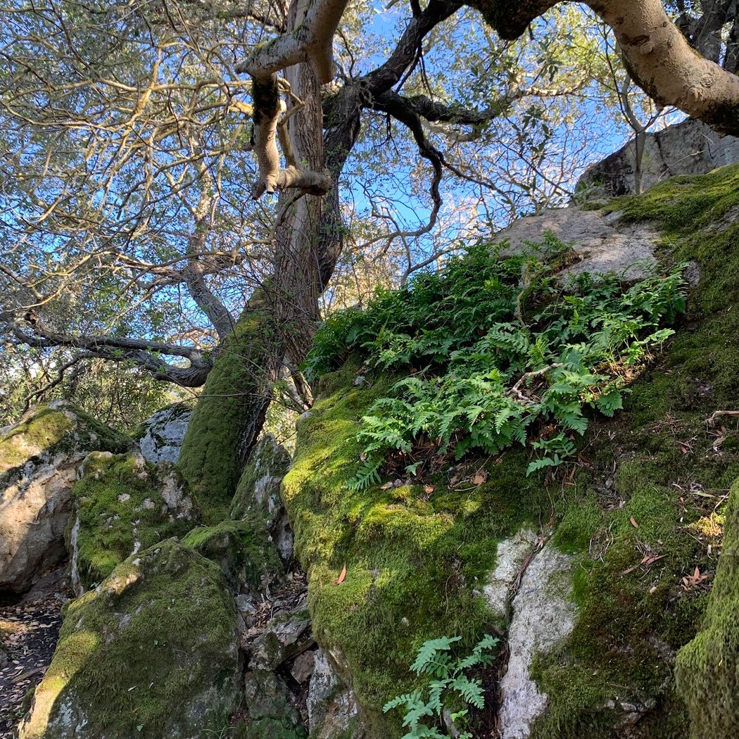 Mortar Rock Park 3