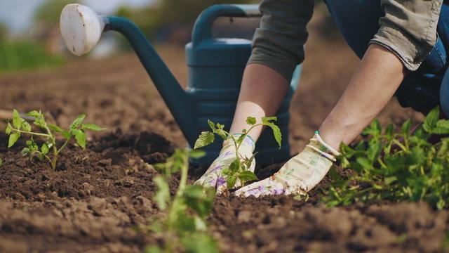 Plant Futures Club - Gardening 1