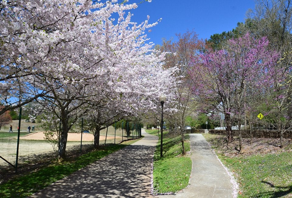 Chastain Memorial Park 1