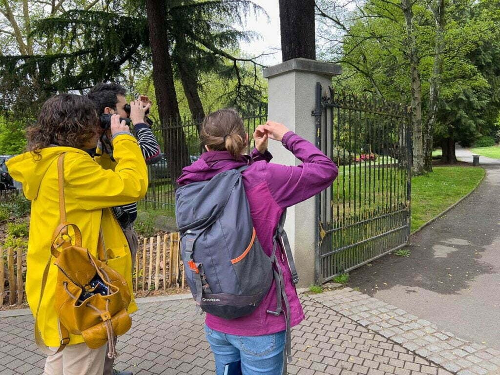 Balade nature sur les chants d’oiseaux 2