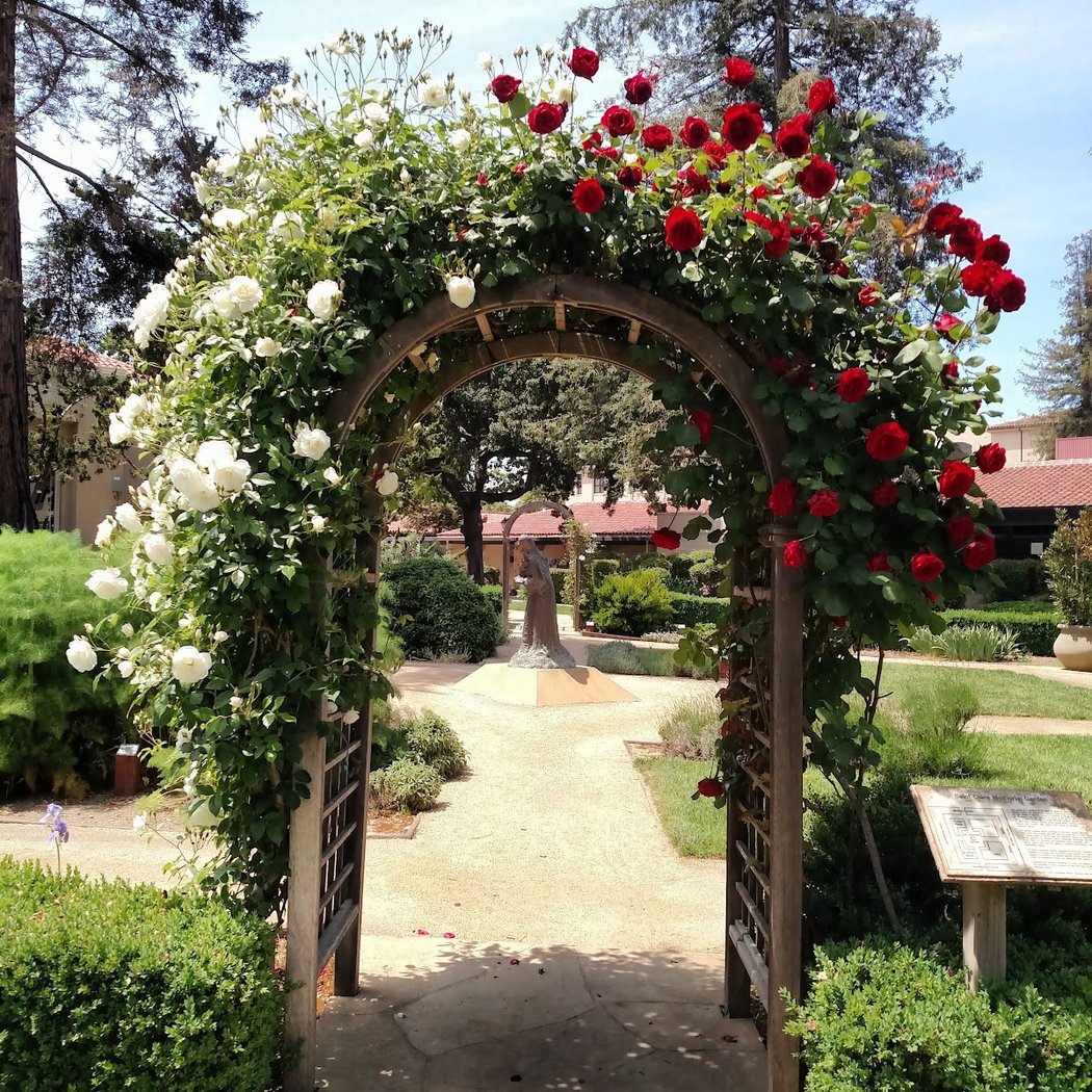 St Clare Garden 1