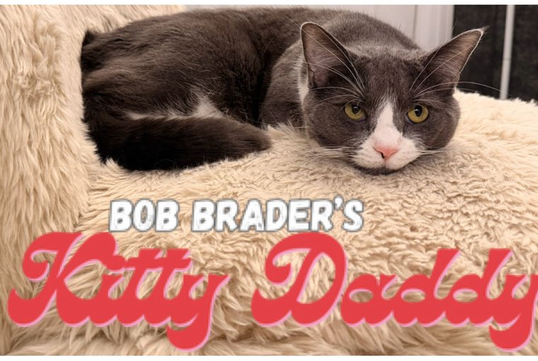 Kitty Daddy 3