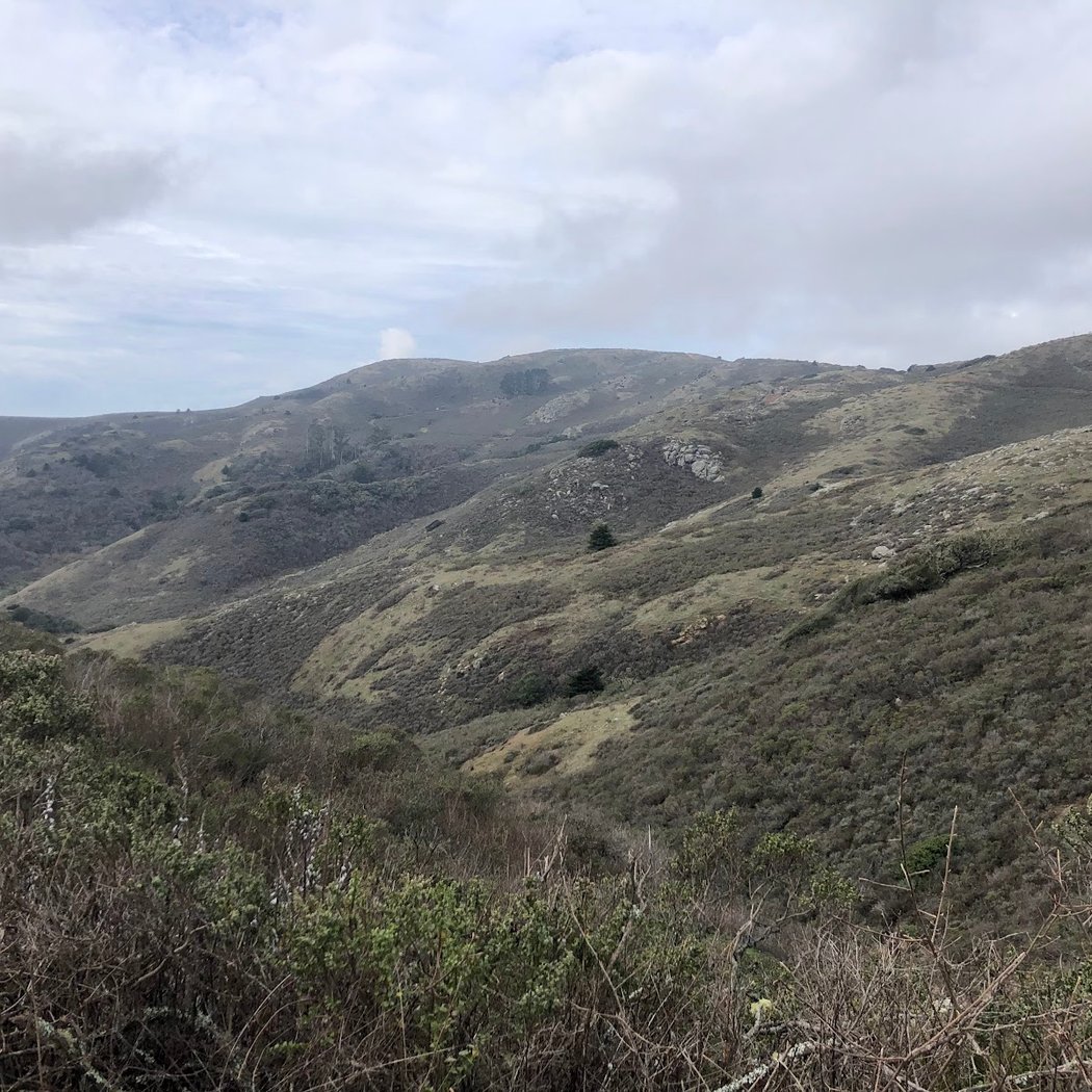 SCA Trail 3