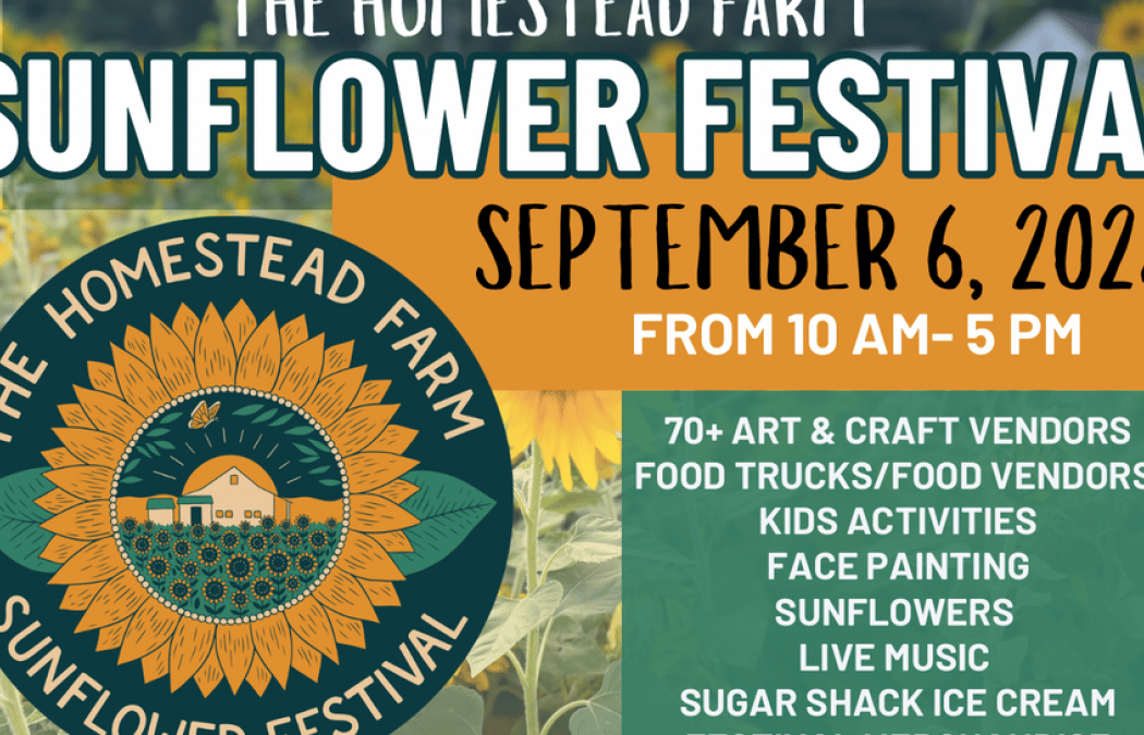 Sunflower Festival 1