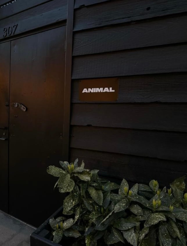 ANIMAL 3