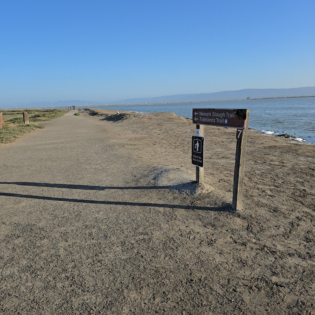 Newark Slough Trail 3