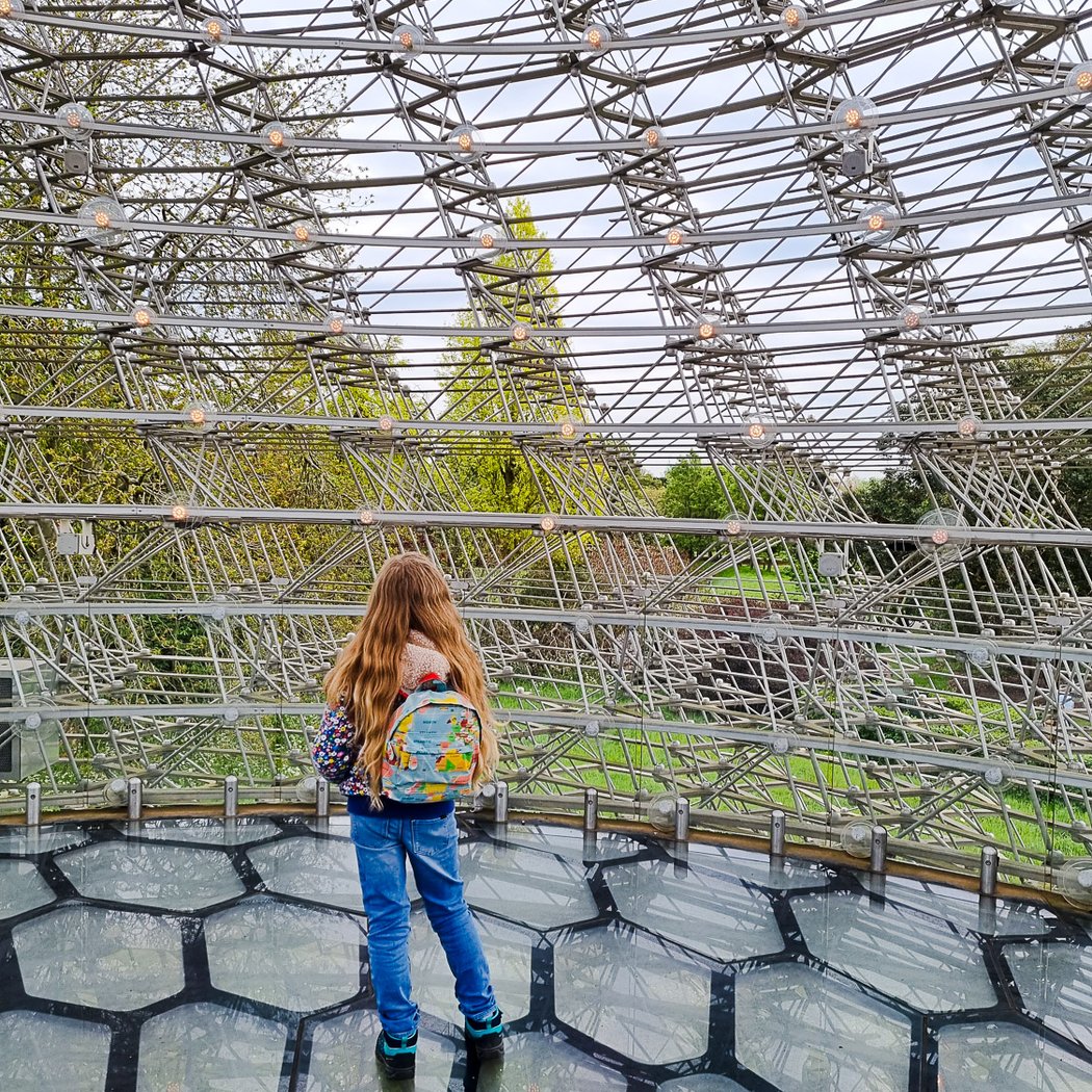 The Hive 2