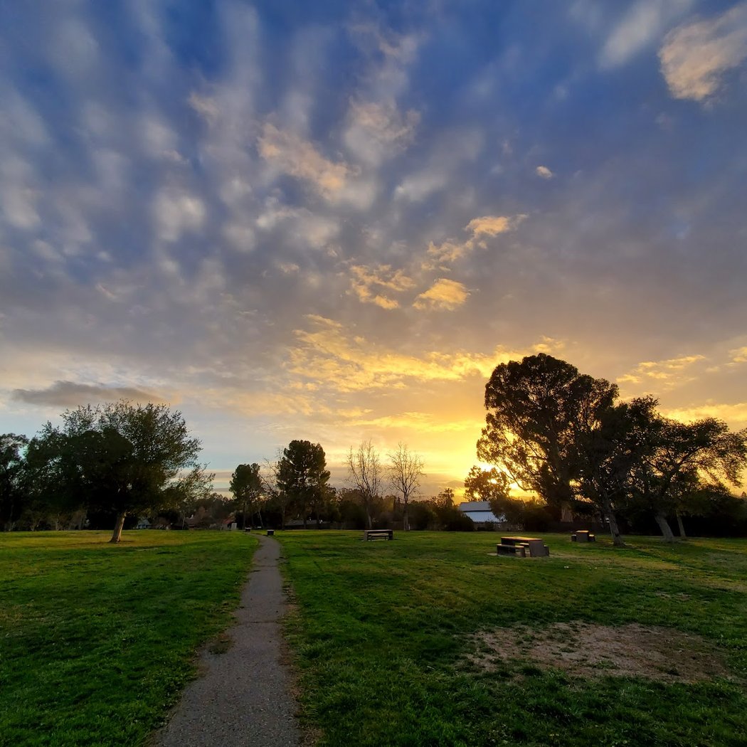 Hagemann Park 1