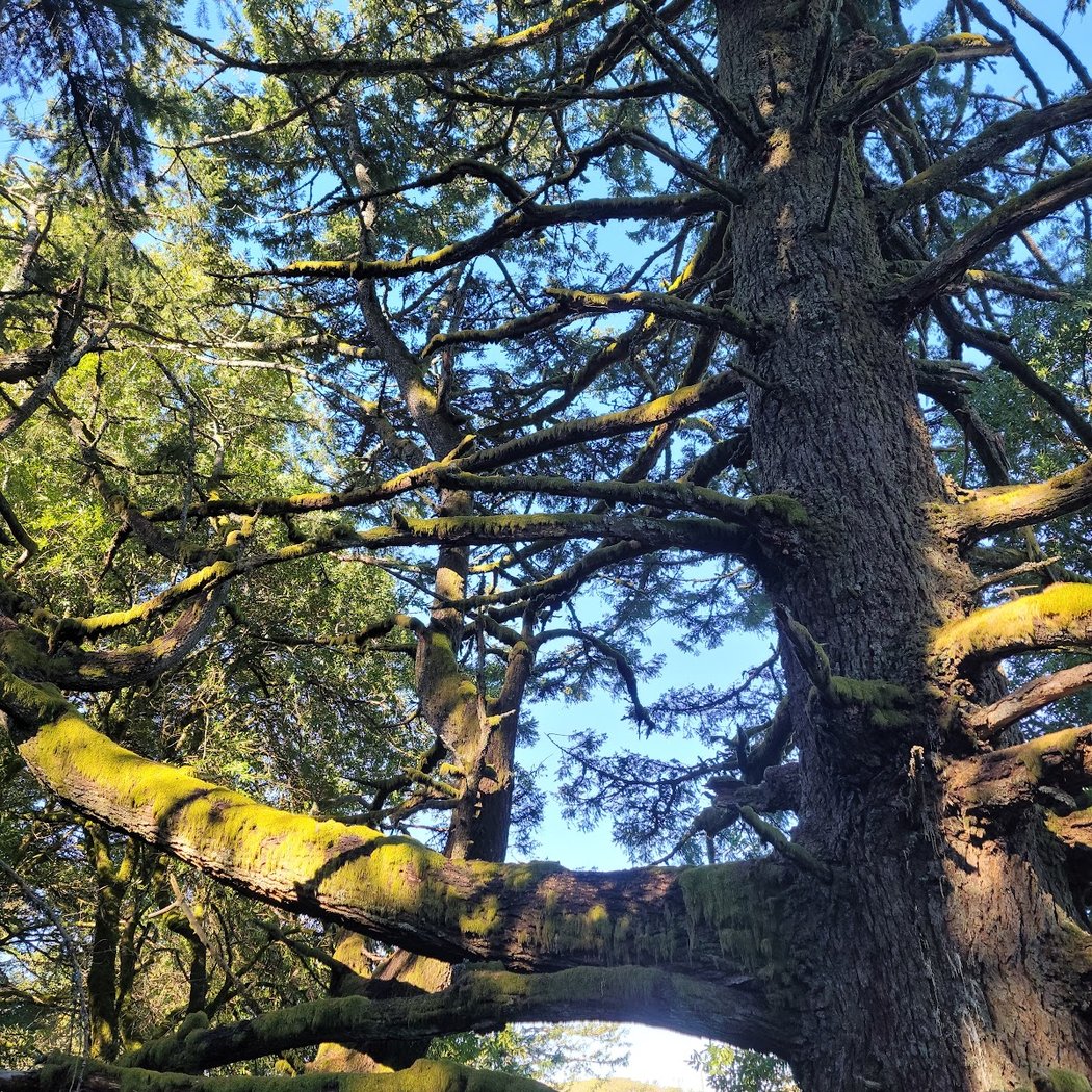 Alpine Trail (Trailhead) 2