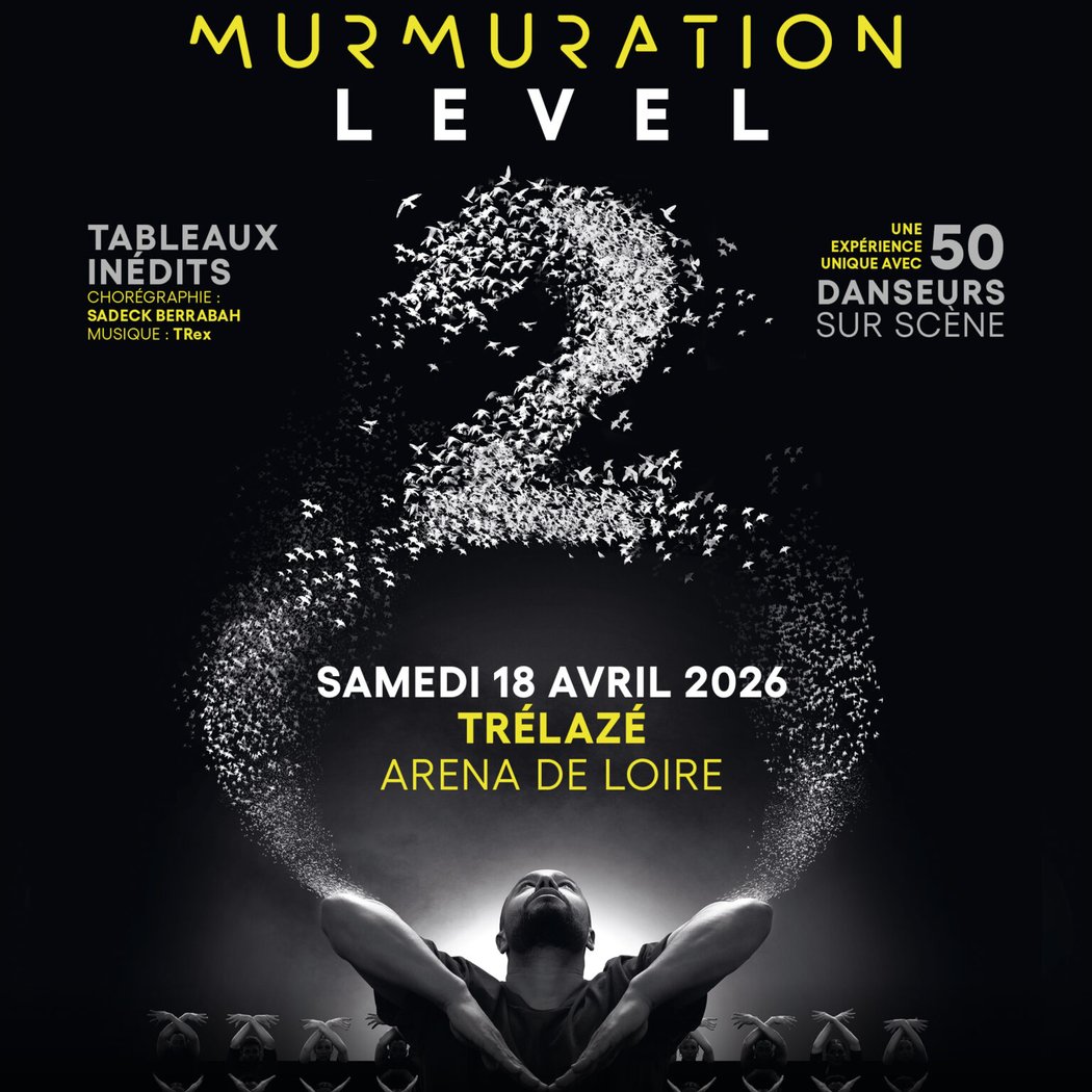 Murmuration Level 2 1