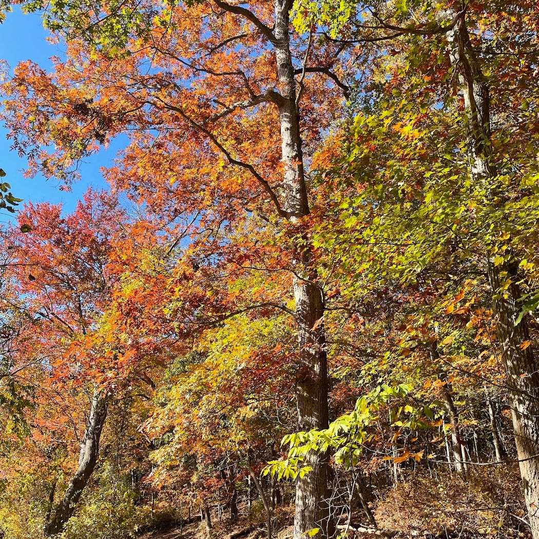 Stump Pond 3