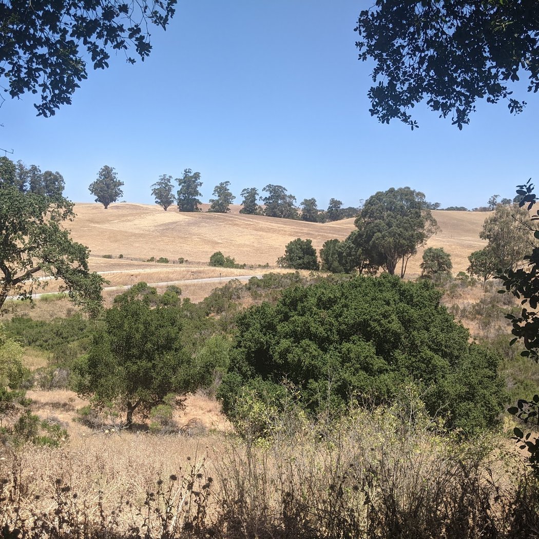 Arastradero Creek Trail 2
