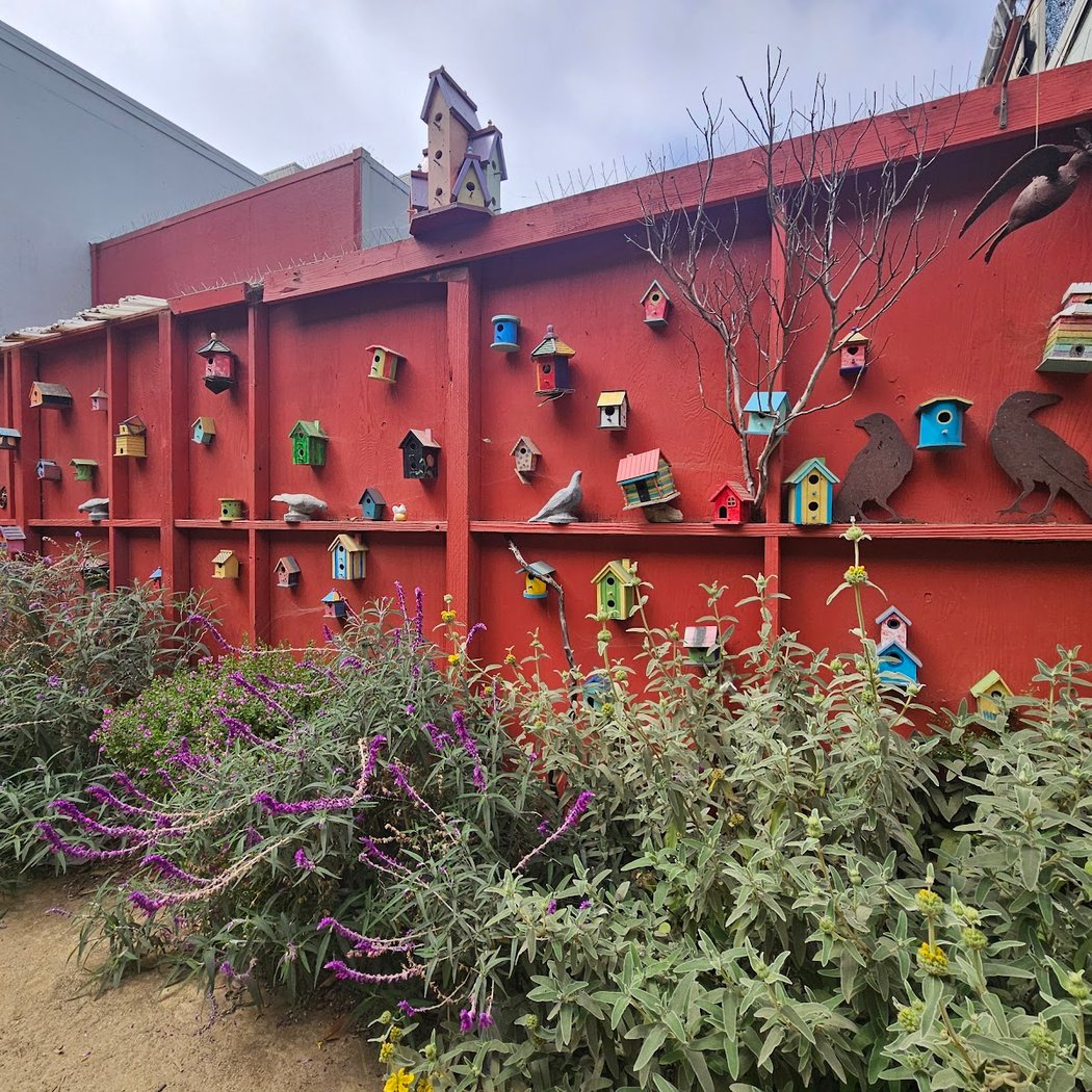 Portola Garden Club: First Saturdays Work Party 1