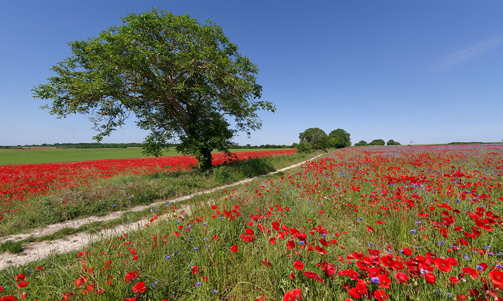 French Vexin Regional Natural Park 4