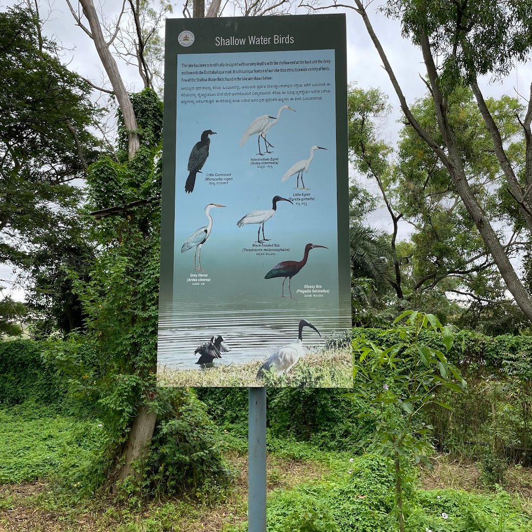 Yelahanka Puttenahalli Lake and Bird Conservation Trust 3
